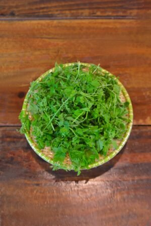 Đọt khổ qua rừng